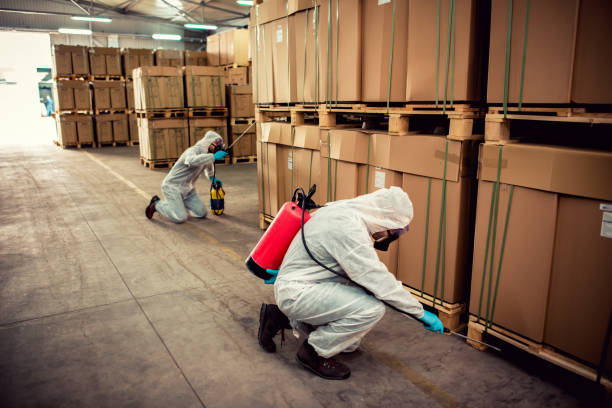 Best Affordable Pest Control Services  in Aromas, CA