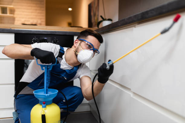 Best Best Pest Control Companies  in Aromas, CA
