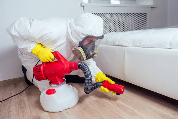 Best Termite Control Services  in Aromas, CA