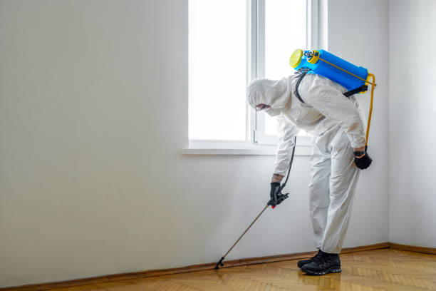 Best Emergency Pest Control  in Aromas, CA