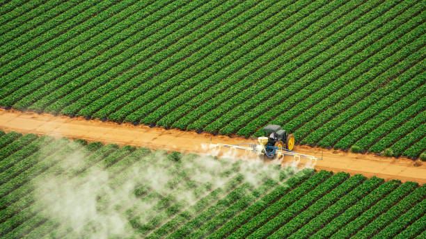 Best Termite Control Services  in Aromas, CA
