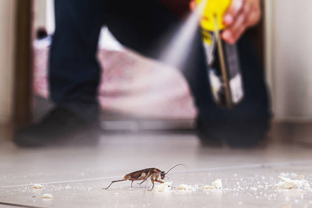 Best Residential Pest Control  in Aromas, CA