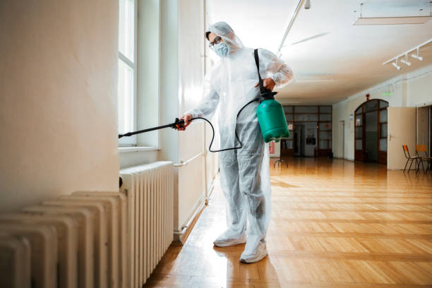 Flea Control Services in Aromas, CA