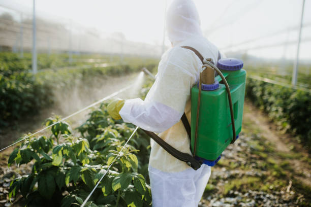 Best Pest Control Treatment  in Aromas, CA